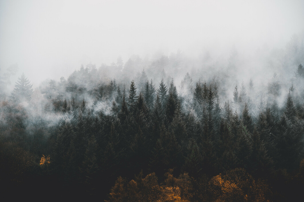 Header Image